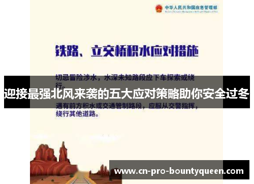 迎接最强北风来袭的五大应对策略助你安全过冬